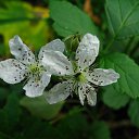  ••,  -  9  2013   RoadKing