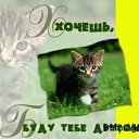 ���� ����), ���������� - ��������� 30 ������ 2009 � ������ ���������