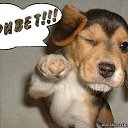 � ����� �������� ���� vk.com/fotiko �� ������� ���� ����������