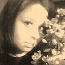 ���� ���, ������, 35 ��� - ��������� 31 ������� 2008 � ������ ���� ����������