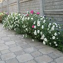 ���� V�������, ��������� - ��������� 6 ������� 2012 � ������ ���������.�