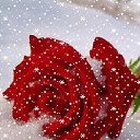 ���� ����, ������ - ��������� 15 ������ 2011 � ������ ���������