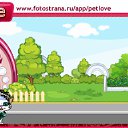 ���� �������, �������, 49 ��� - ��������� 1 ������� 2010 � ������ �PetLove�