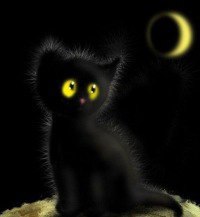 ���� �����, ����� - ��������� 7 ���� 2013