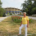 �. ����. ��������. ��������� ����.