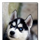  Angel, , 39  -  16  2010   