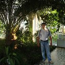 ���� �����, ����������, 56 ��� - ��������� 25 ���� 2013 � ������ ���� ����������