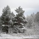 ���� �������, ������, 43 ���� - ��������� 20 ��� 2012 � ������ �������