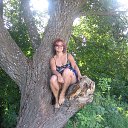 � �������
