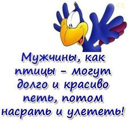 ���� ���������, ������� - ��������� 11 ���� 2013
