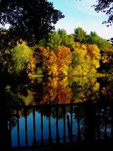 ���� �������, ������, 54 ���� - ��������� 19 ������� 2011