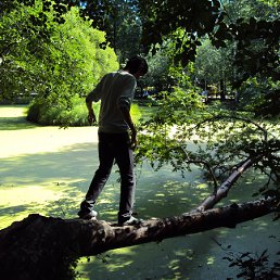 ���� ��������, ������������, 31 ��� - ��������� 25 ������� 2012