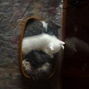 ���� ������, ������������, 50 ��� - ��������� 31 ���� 2013 � ������ ���� ����������