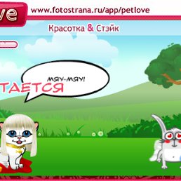 ���� �������, ������, 41 ��� - ��������� 30 ������� 2010