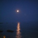 ���� ����, ������, 43 ���� - ��������� 11 ������ 2010 � ������ �������