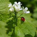  °•Exxtazzy •°,  -  14  2013    