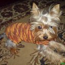 ���� ������, ���������, 55 ��� - ��������� 2 ��� 2011