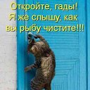���� ��������, ��������������, 57 ��� - ��������� 7 ������� 2009 � ������ �������