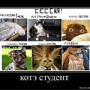 ���� �������, ������, 41 ��� - ��������� 29 ����� 2011 � ������ �������