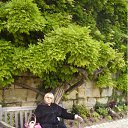 ���� �������, �����, 52 ���� - ��������� 22 ������ 2011 � ������ �������������