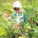 ���� ������, ������������ - ��������� 7 ������� 2011 � ������ ���� ����������