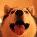 ���� �������, ����-�������, 50 ��� - ��������� 1 ��� 2013 � ������ ��������-�������