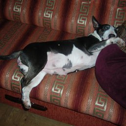 ���� ������, �����-��������� - ��������� 27 ��� 2010