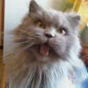 ���� ������, �����-���������, 63 ���� - ��������� 20 ������� 2011 � ������ ���� ����������