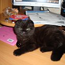 ���� ��������, �������, 62 ���� - ��������� 12 ������� 2011 � ������ ���� ����������