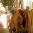 ���� Yrii, �������, 52 ���� - ��������� 17 ������ 2010 � ������ ������