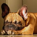 ���� ����, ���������, 60 ��� - ��������� 1 ������� 2011 � ������ �������