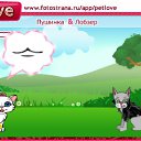  , , 22  -  10  2010   PetLove