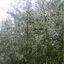 ˸, , 54  -  9  2011   PetLove