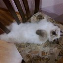   ( ),  -  22  2012     Ҹ!!!