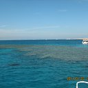 ���� ���� (�� �������), ����, 61 ��� - ��������� 20 ������ 2011 � ������ ���� ����������