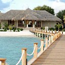 ���� ������, ���������, 51 ��� - ��������� 7 ������ 2011