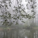 ���� [Pelmen`], ����������, 26 ��� - ��������� 16 ������� 2012 � ������ �������