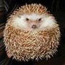 ���� �����, �����, 54 ���� - ��������� 11 ����� 2013