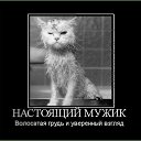 ���� �������, �����-���������, 47 ��� - ��������� 2 ���� 2013 � ������ �����ܻ