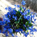 ���� ��������, ������-��-����, 57 ��� - ��������� 15 ������ 2013 � ������ ������ ��������