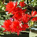  ,  -  3  2012     ӻ