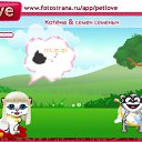  , , 32  -  16  2010   PetLove