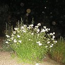 ���� �������, ������������, 48 ��� - ��������� 28 ������� 2011 � ������ �������