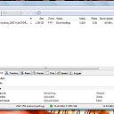 ���� �������, ������, 41 ��� - ��������� 24 ������� 2010 � ������ ���� ������� ������ֻ