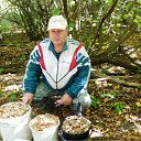  ., , 65  -  13  2011