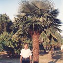 ���� Vavan, �������, 59 ��� - ��������� 8 ������� 2010 � ������ ���� ����������