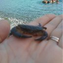 ���� �������, ������-��-����, 53 ���� - ��������� 31 ������ 2012 � ������ �� �������