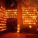  , , 41  -  28  2009   Halloween