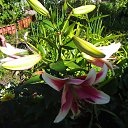 ���� ���������, ������ - ��������� 14 ������� 2013