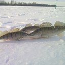 ���� ������, �����, 59 ��� - ��������� 13 ������� 2011 � ������ ���� ����������